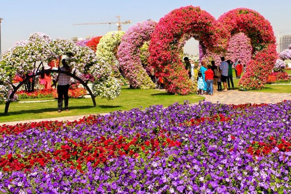 Дубай парк Гарден Павлины