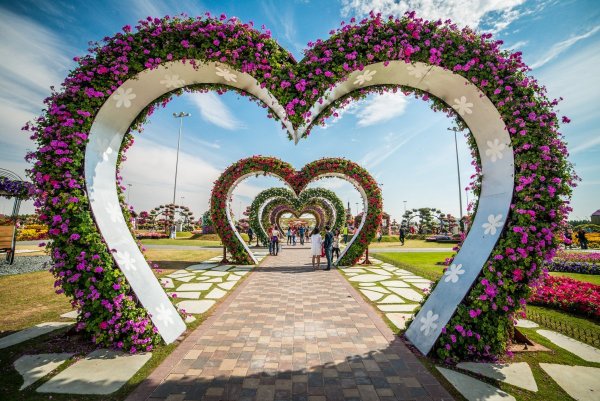 Dubai Miracle Garden амфитеатр