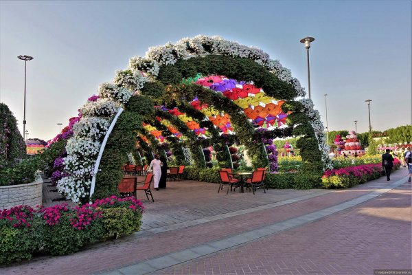 Город Грозный цветочный парк