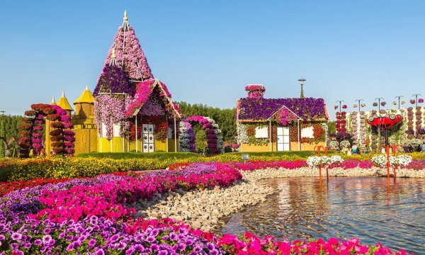 Парк Миракл Гарден Дубай