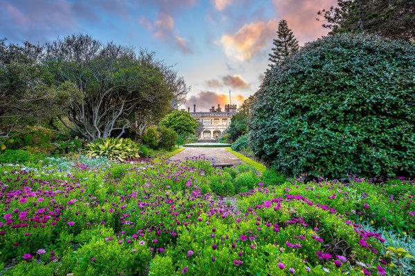 Парк Бельвиль кустарники