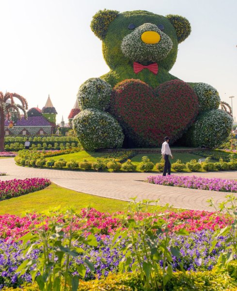 Парк Миракл Гарден Дубай