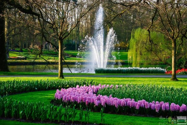 Парк «Кекенхоф» (Keukenhof) летом