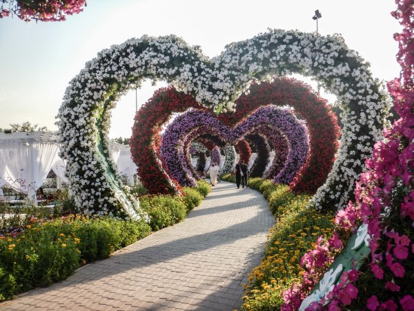 Цветочный парк Арагон