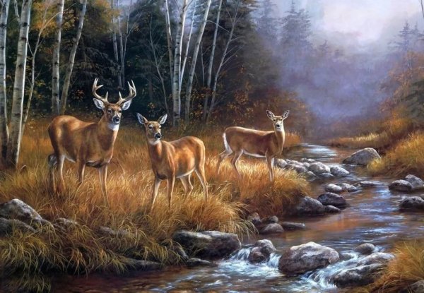 Художник Розмари Миллетт олени