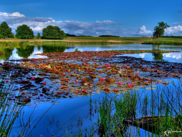 Реки России