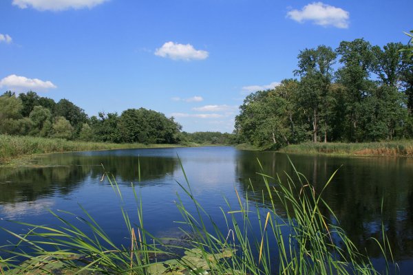 Битюг (река) реки Воронежской области