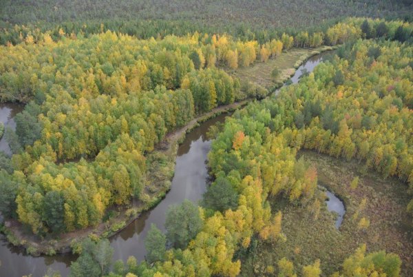 Заповедники Югры малая Сосьва