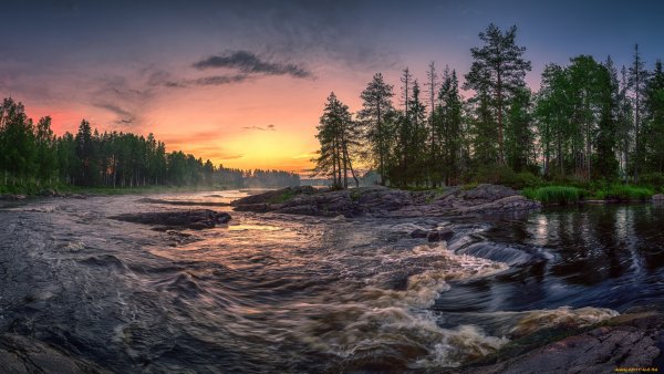 Карельская Тайга