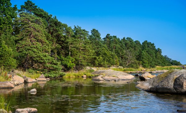 Костомукшский заповедник Карелия