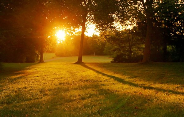 Рассвет в парке