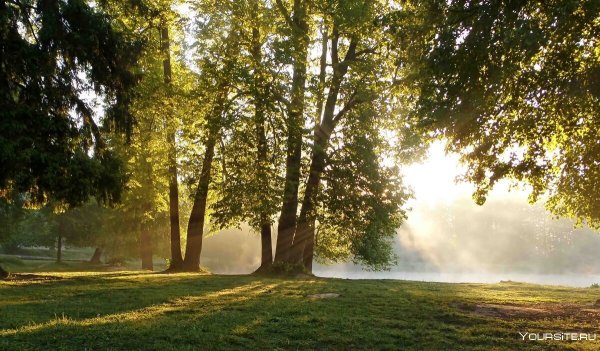 Рассвет парк