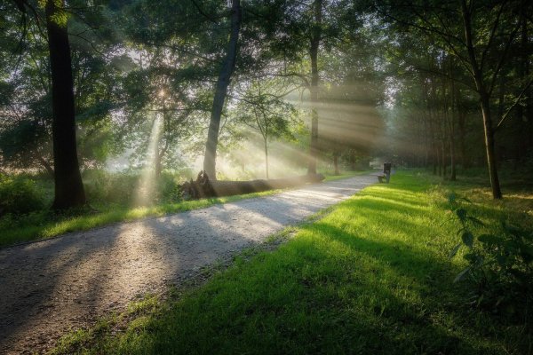 Городской парк на рассвете