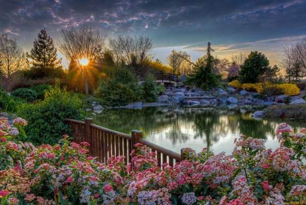 Парки рассвет на рабочий стол планшета