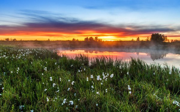 Пейзаж Заря
