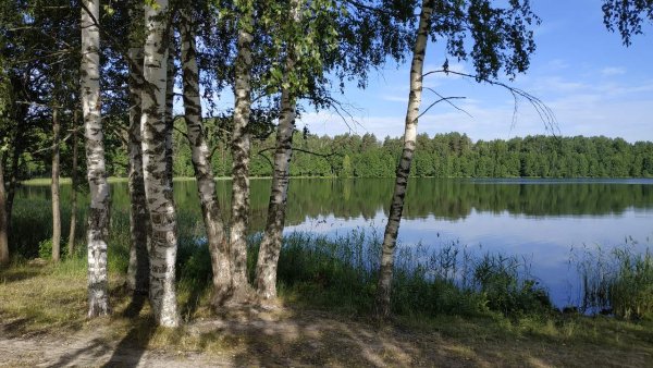 Природа Нижегородской области Светлоярское озеро