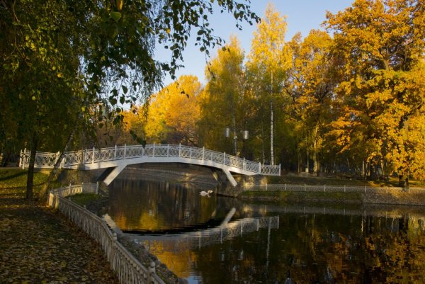 Лианозовский парк культуры