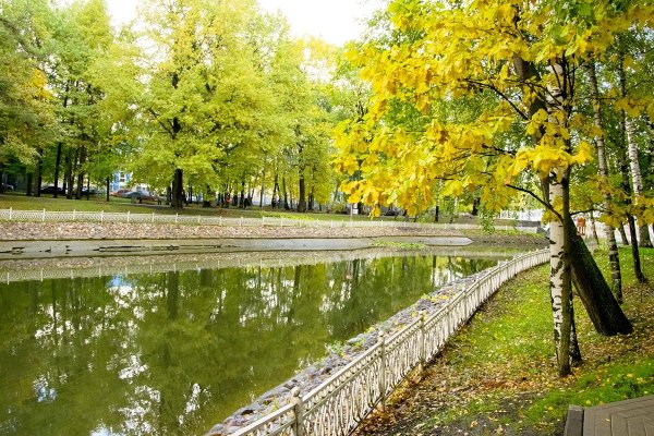 Лианозовский лесопарк