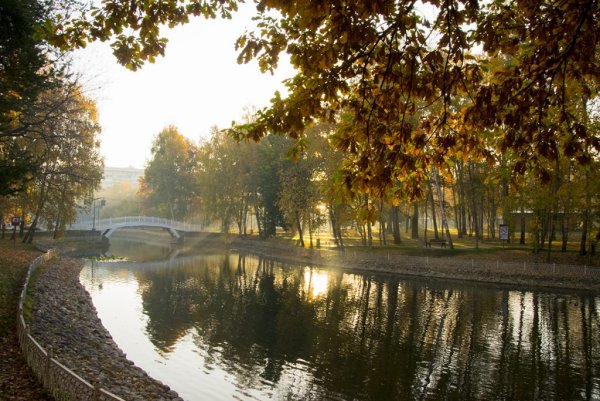 Ландшафтный заказник Лианозовский