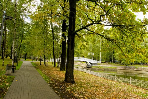 Лианозовский лесопарк