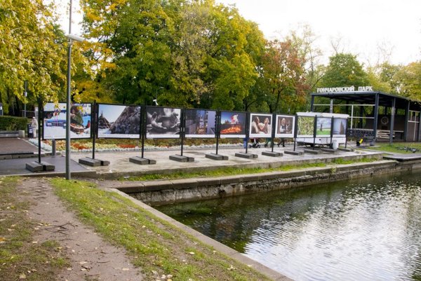 Лианозовский парк #Гончаровский парк