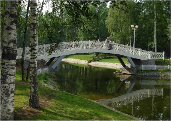 Водоёмы парка Лианозово