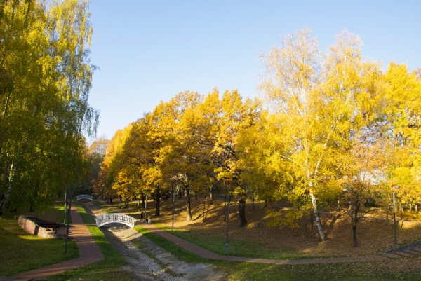 Осень в Лианозовском парке