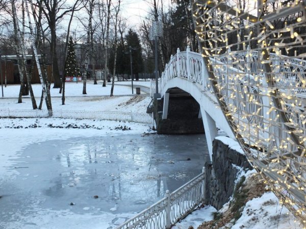 Парк Лианозово официальный сайт