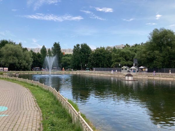 Лианозовский лесопарк