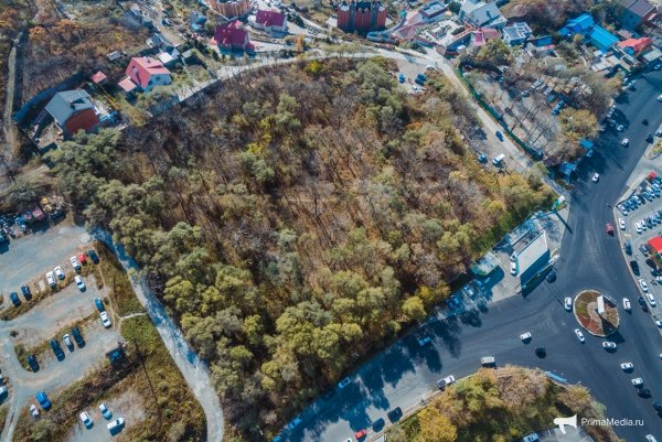 Горный парк Владивосток