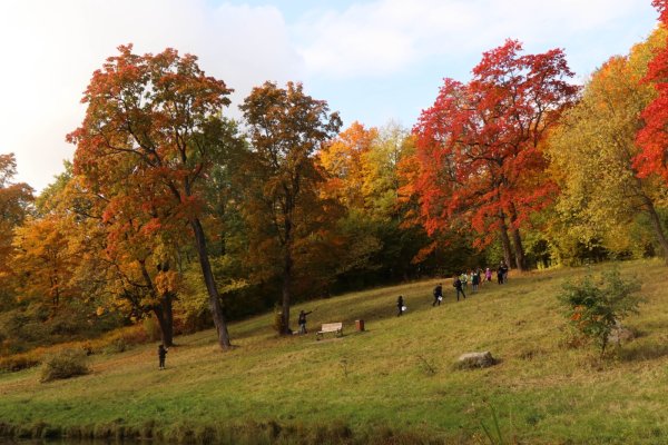 Нагорный парк Дудергофские высоты