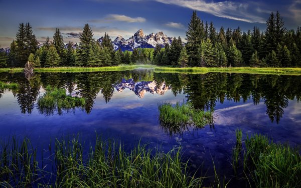 Природа озеро