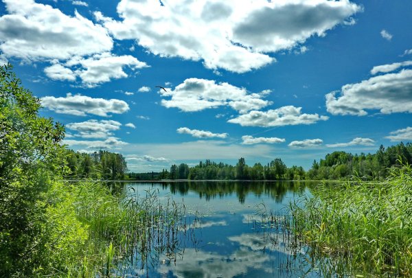 Озеро Боручье