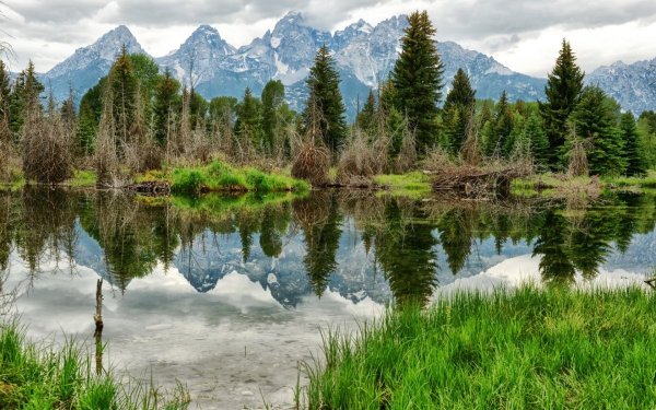 Лесное (озеро, Северная Америка)