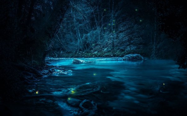 Ночное озеро в лесу