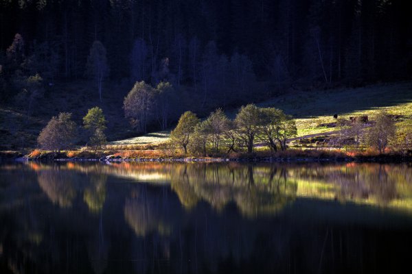 Ночь река лес