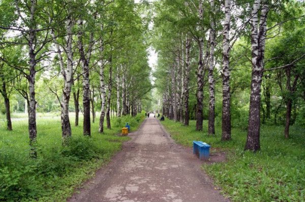 Город Березники парк