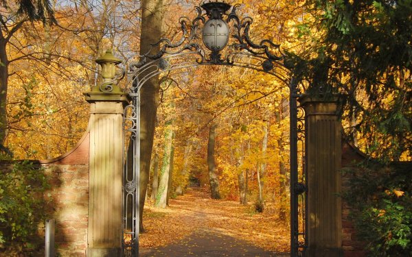 Осенний парк