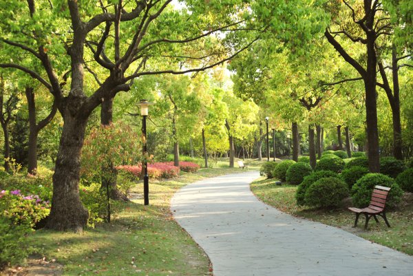 Аллея в городском парке