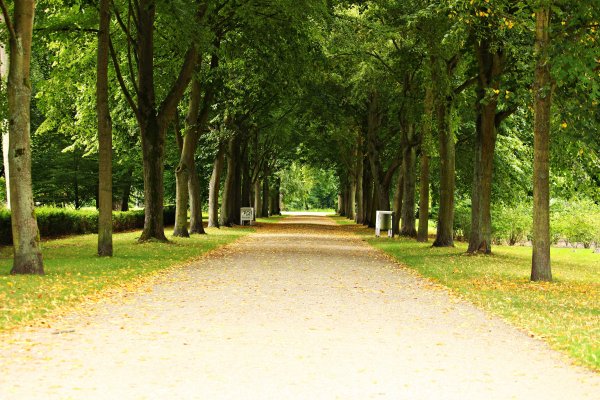 Парк Людвигслуст