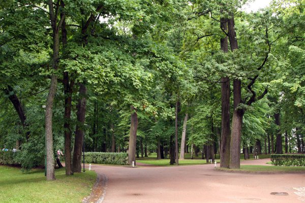 Парк на сквере Ташкент