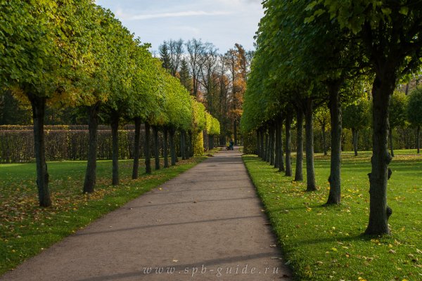 Царское село аллеи