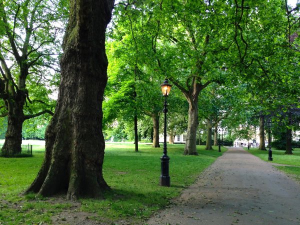 Парк в городе