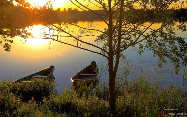 Летнее утро на озере