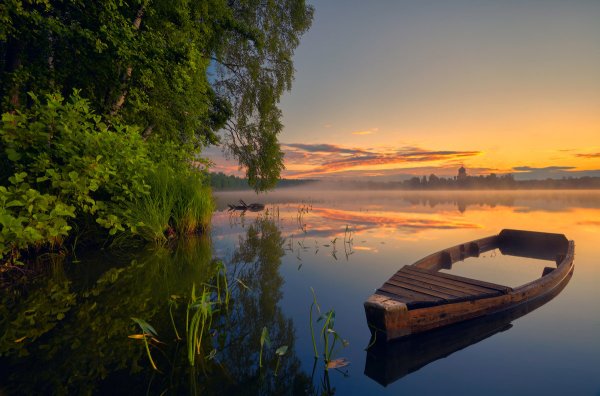 Лето река лодка