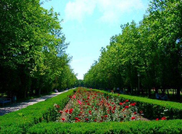 Ейск парк Поддубного аллеи