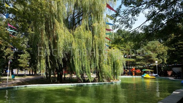 Парк Поддубного в Ейске фото