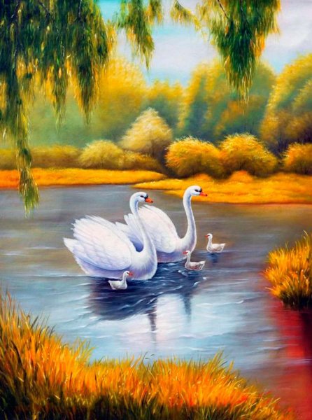 Живопись лебеди на озере
