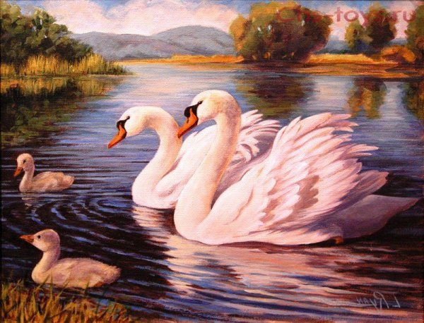 Картина алмазная мозаика Лебединое озеро