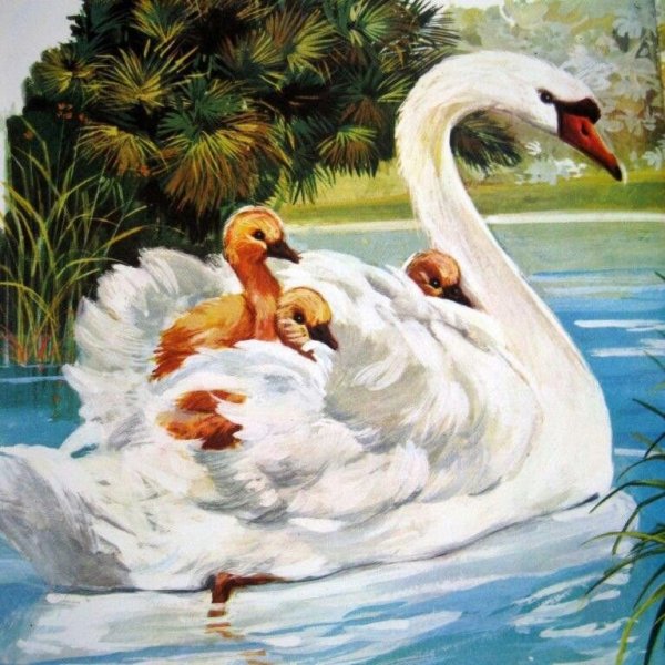 Картины с изображением лебедей